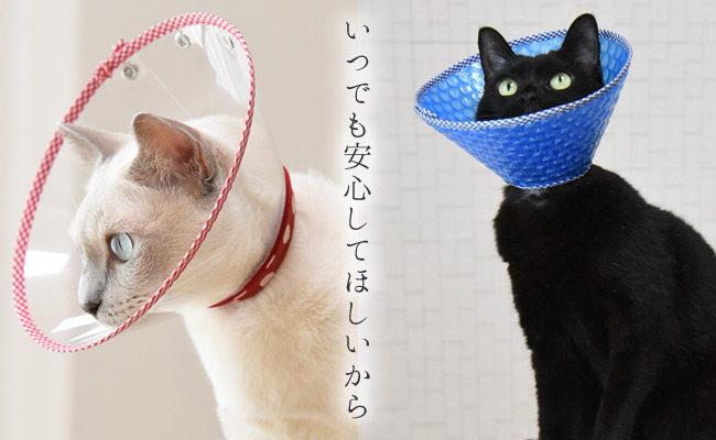 ゴロにゃん・オリジナルエリザベスカラー 猫専門店ゴロにゃん☆公式