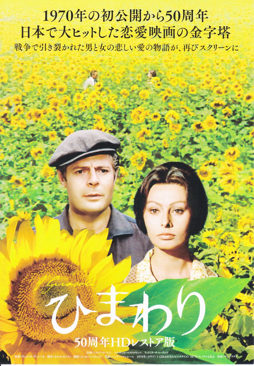 ソフィア・ローレンの名作「ひまわり」上映 | 高崎新聞