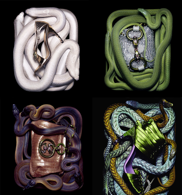 THE MAGAZINE | Guido Mocafico ～Still Life Photography に見る