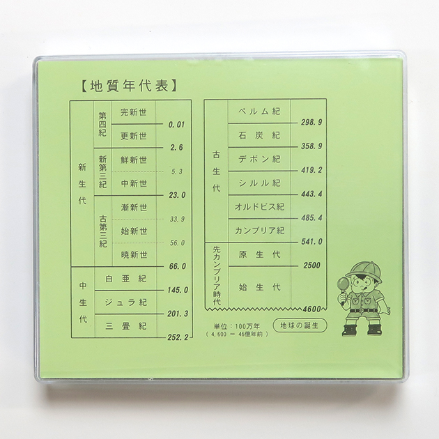 化石標本8種｜化石販売・鉱物販売の東京サイエンス