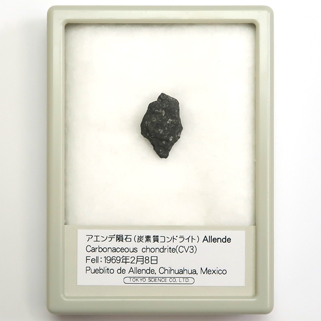 過去販売－アエンデ隕石（Allende）｜化石販売・鉱物販売の東京サイエンス