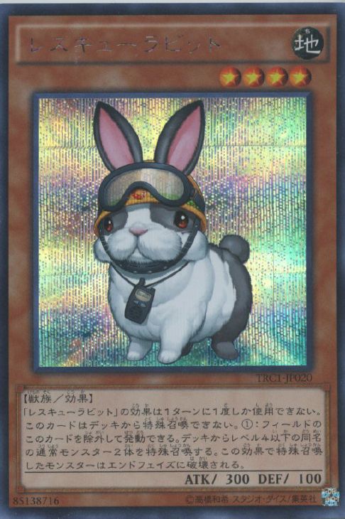 レスキューラビット シク シークレット 4枚 レスキューラビット