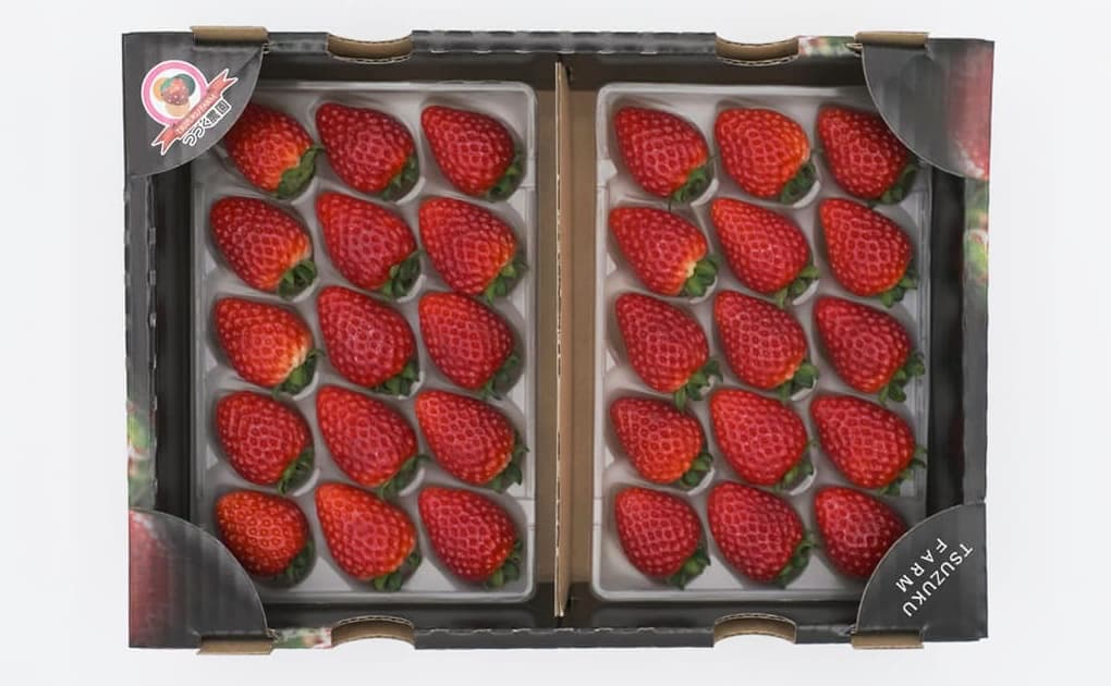 つづく農園 | 茨城県常陸大宮市 - いちご直売 - いちご狩り - 関東