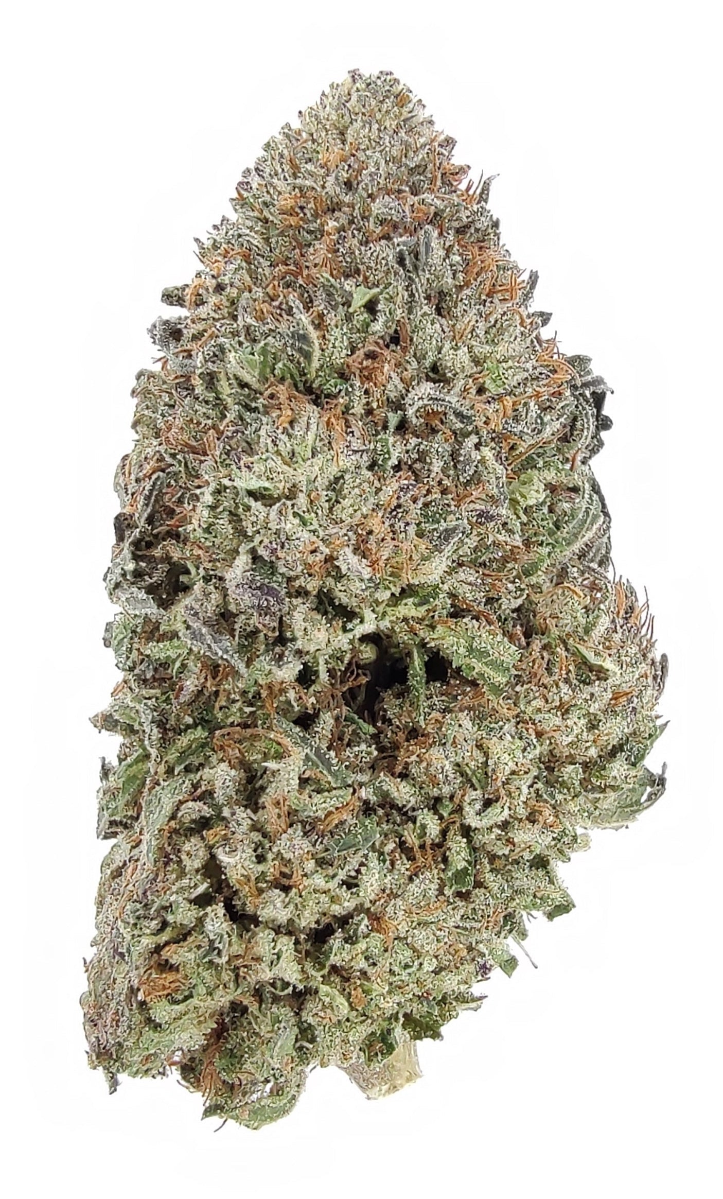 Bubba Kush 12 Sungrown Type III Cannabis Flower – Victory Banner Farms