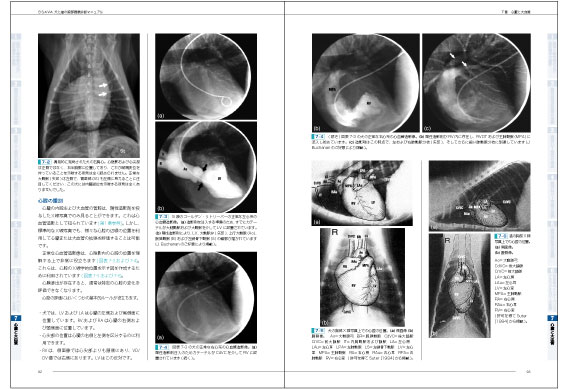 NEW LLL PUBLISHER 【世界動物病院協会】