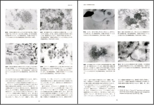 病状と病体生理からみた小動物医学 鑑別診断と治療 病状と病体生理から