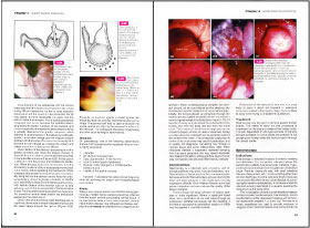 NEW LLL PUBLISHER 【世界動物病院協会】