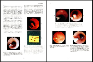 小動物医学 鑑別診断と治療 第3版 小動物医学 鑑別診断と治療 第3版