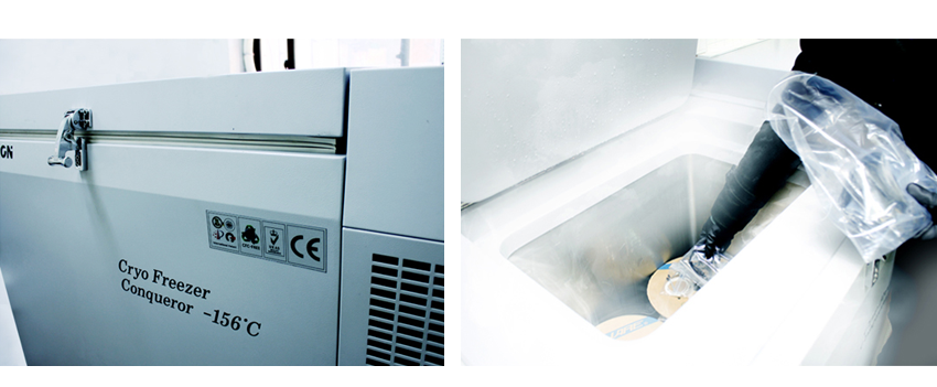 NOBUNAGA Labs NOBUNAGA Labs Advance :: 霧降 (きりふり)