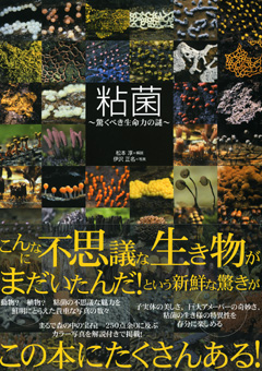 粘菌～驚くべき生命力の謎～