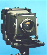 トヨ of ワイズクリエイト