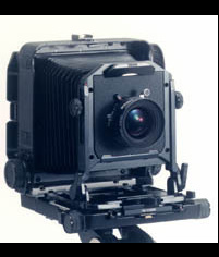 トヨ of ワイズクリエイト