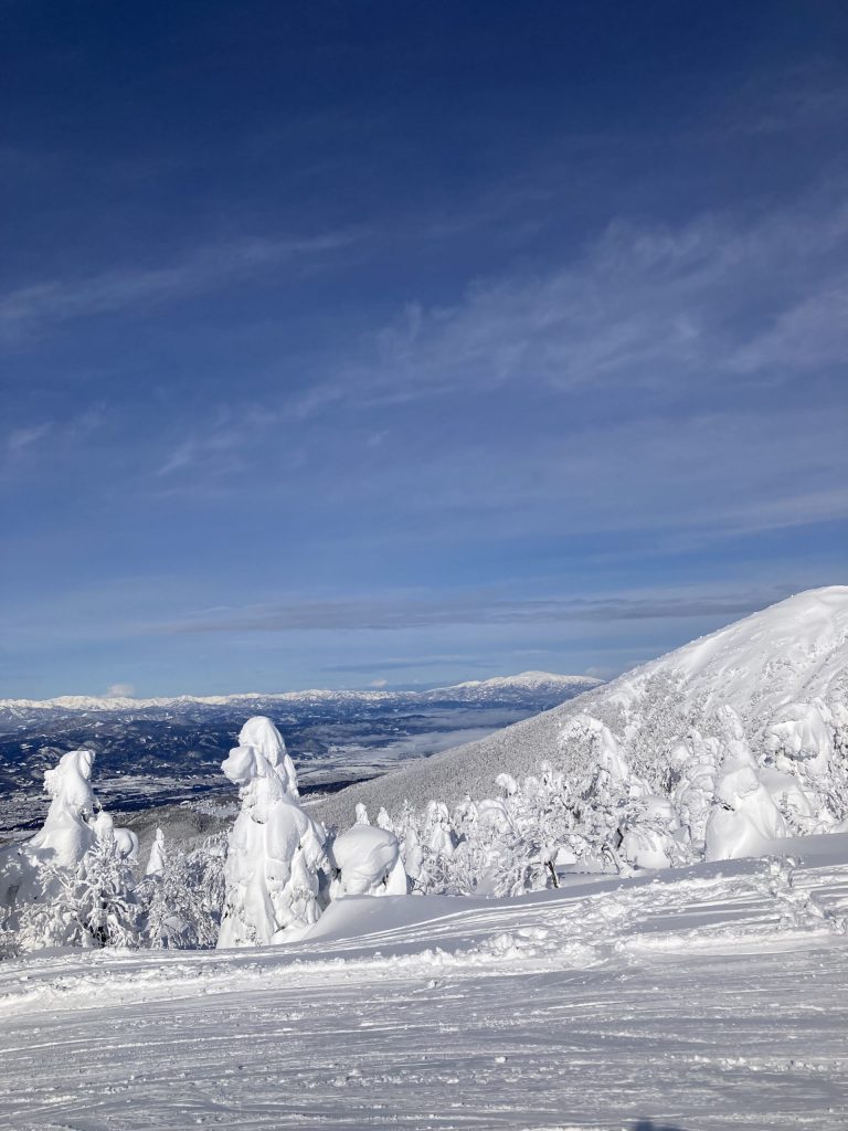 1月 | 2025 | 蔵王ライザスキースクール