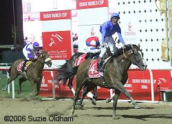 2006 Dubai World Cup Results