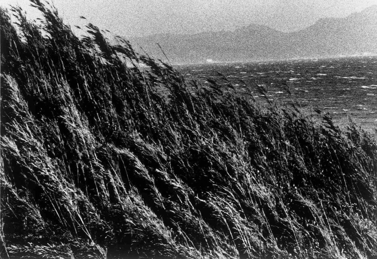 石内都 “絶唱・横須賀ストーリー#5” ‹ ART in PARK HOTEL TOKYO 2016