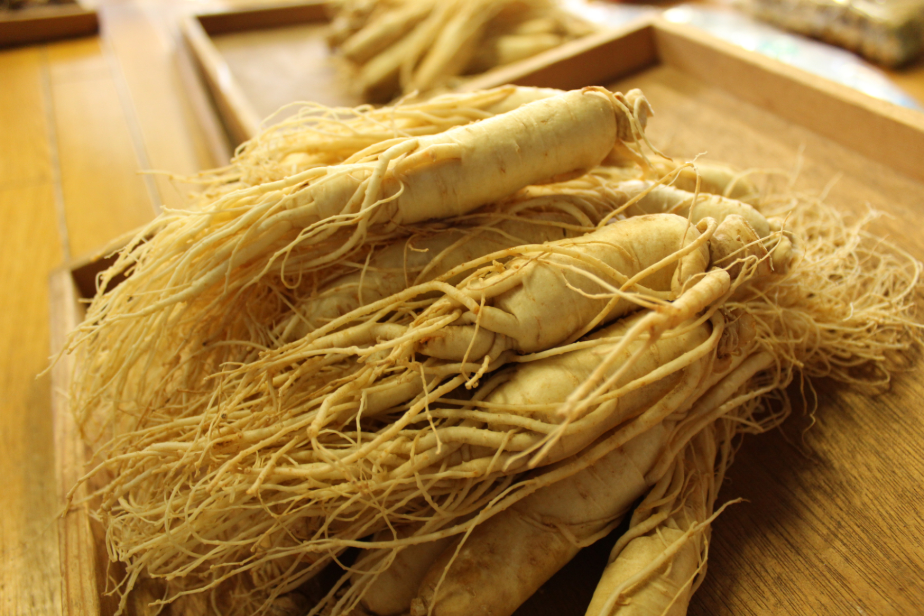 清水薬草店 「温」 福島県特産 會津人蔘の生産・加工・販売｜清水薬草