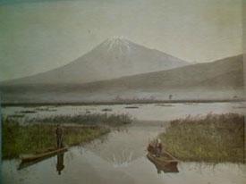 JACQUES POLI ジャック・ポリ リトグラフ ポトフィリオ オウム JACQUES