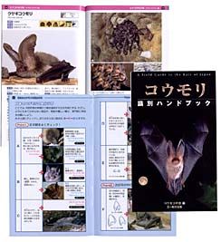 コウモリ識別ハンドブック