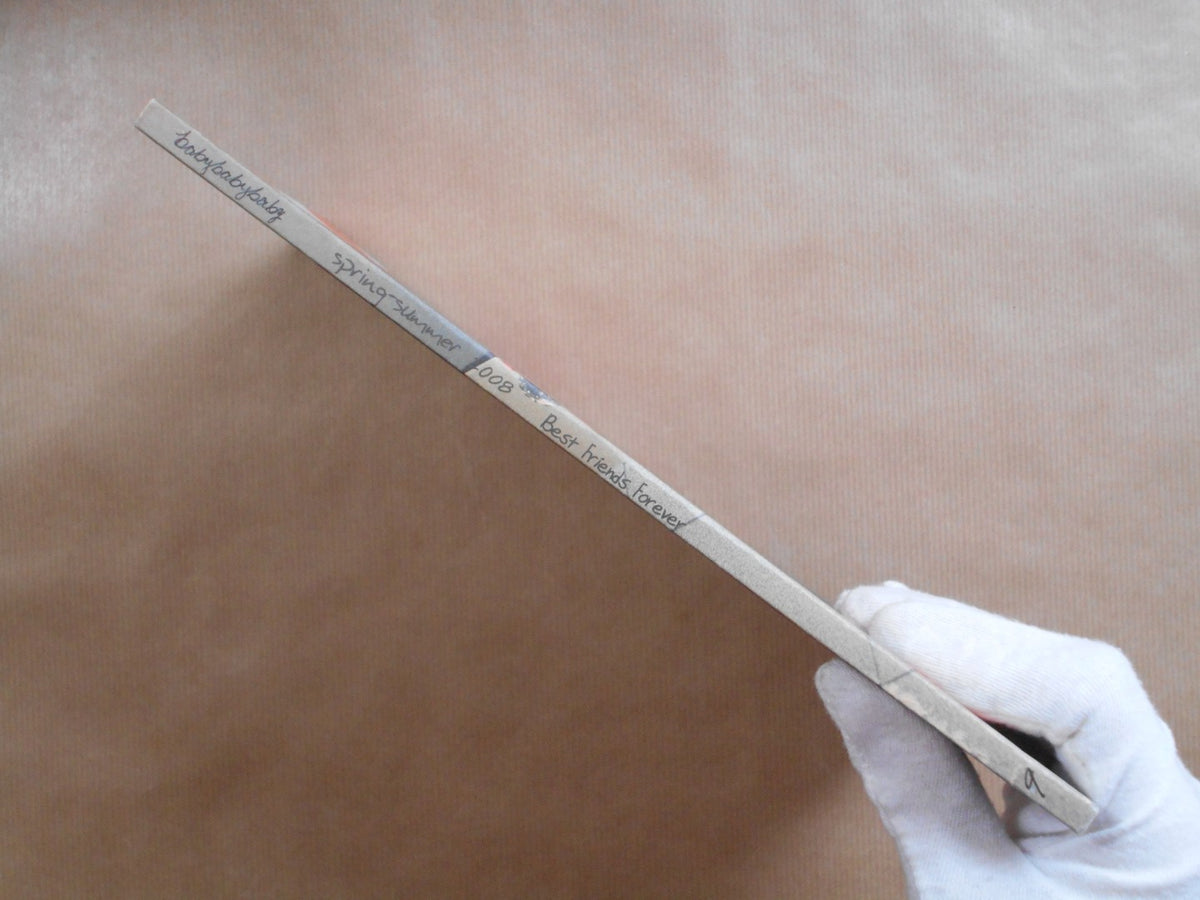 Baby Baby Baby vol.8, spring - summer 2008, Best Friends Forever