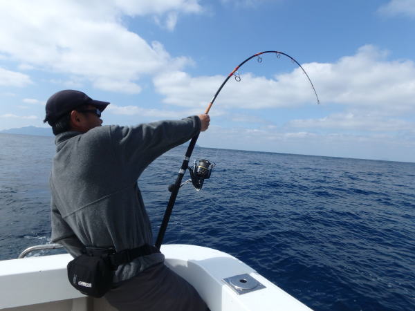 カーペンター SLP80／38 シーレパード