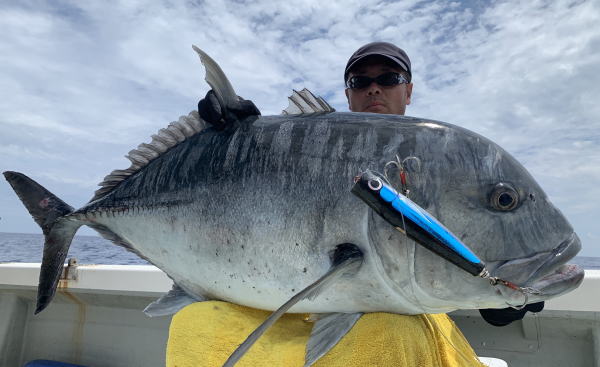 カーペンター SLP80／33 シーレパード