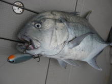 コーラル バイパー CV GTロッド