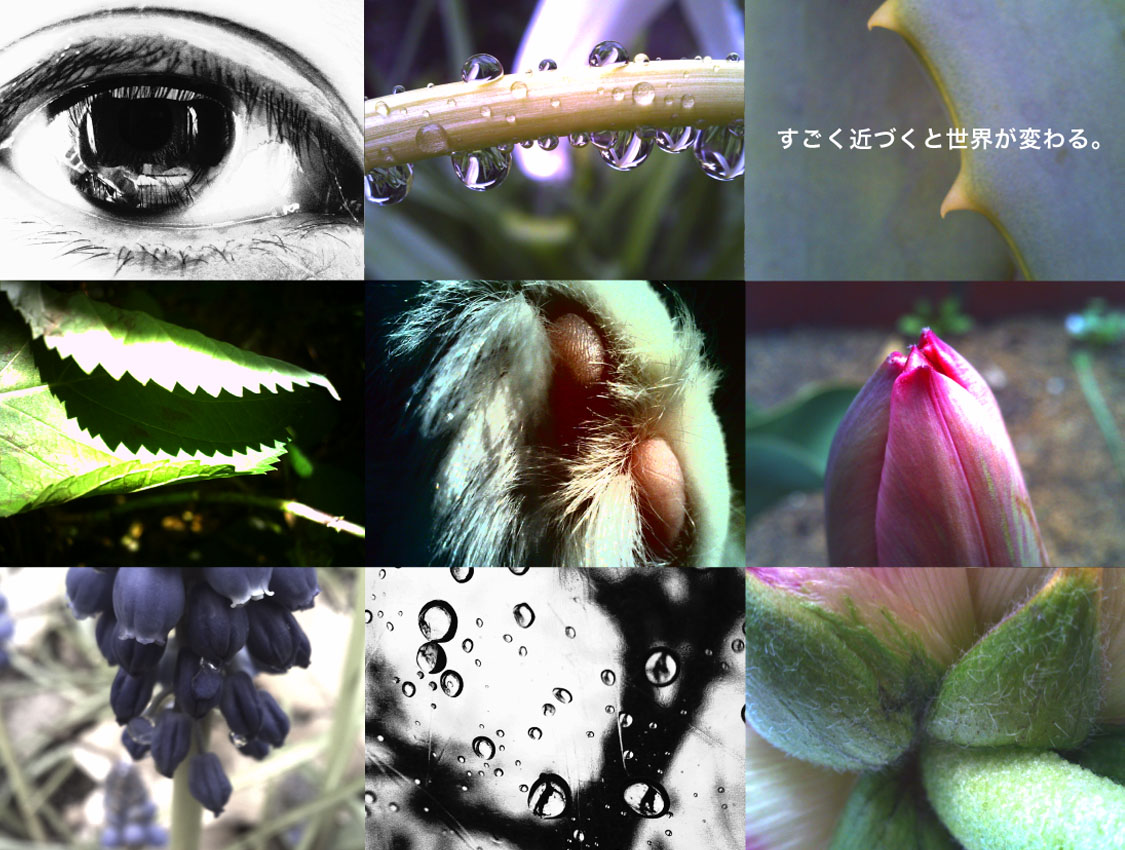 DIGITAL HARINEZUMI 4.0