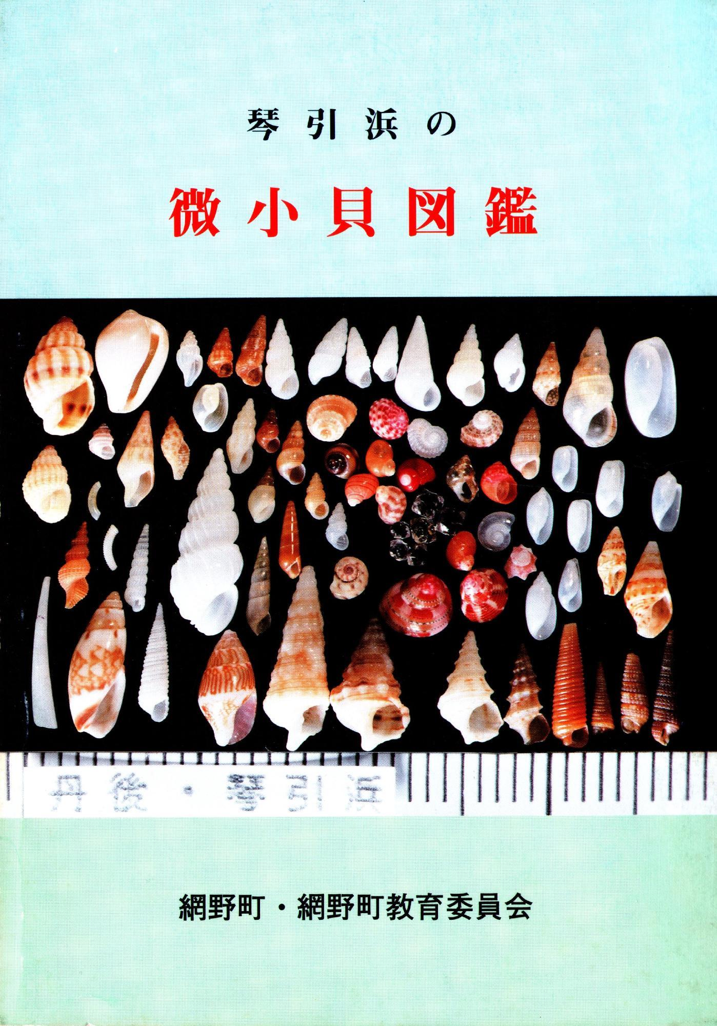 琴引浜の微小貝図鑑／京丹後市