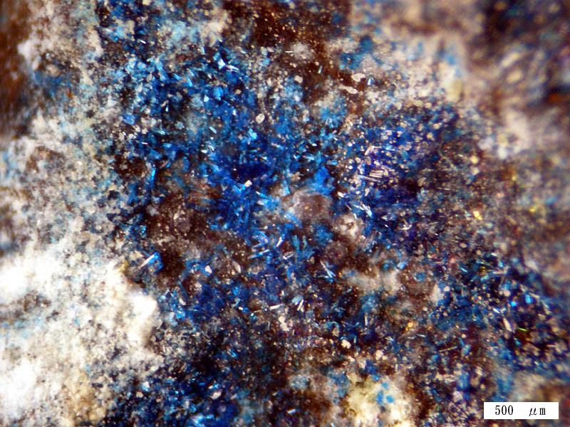 ジャクスディートリッヒ石