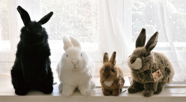 ケーセン（koesen）くろいうさぎ: 木のおもちゃ｜クレヨンハウス