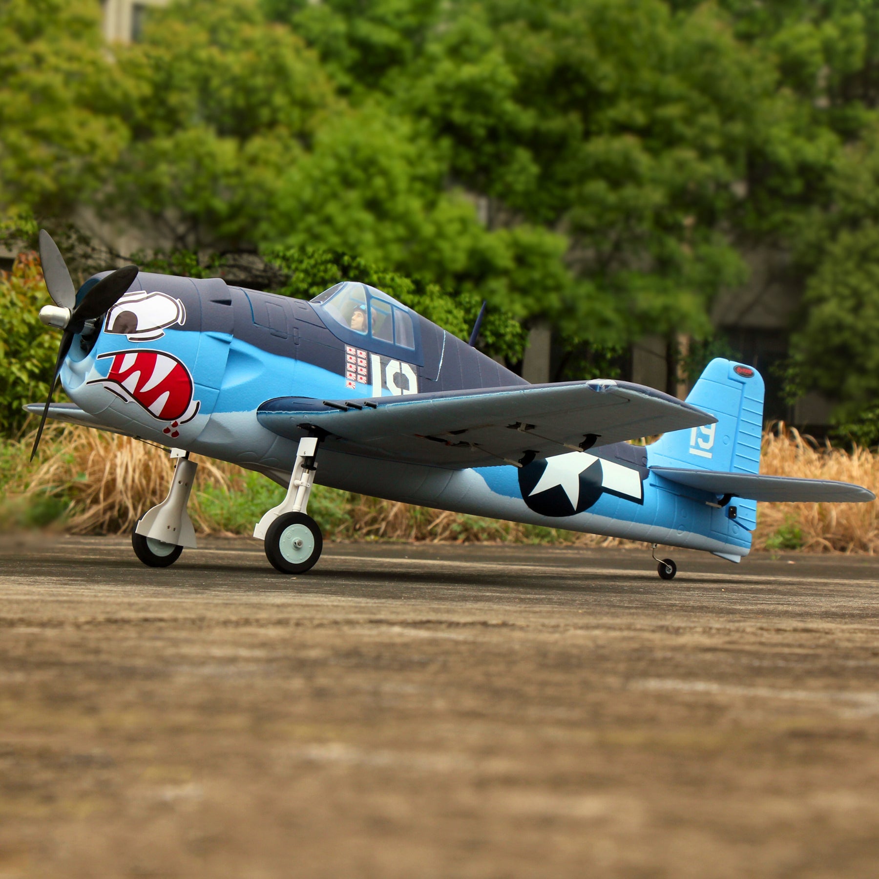 Dynam F6F Hellcat (ヘルキャット) V2 4S RC ウォーバード プレーン