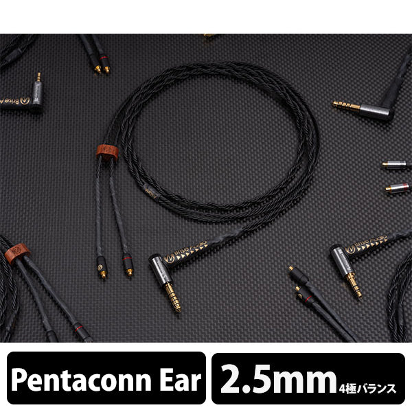Brise Audio ASUHA Ref.2 4極Φ2.5mmプラグ-Pentaconn Ear (OFC
