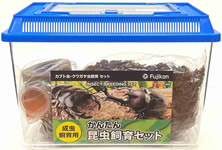 セット（カブトムシ・クワガタムシ）