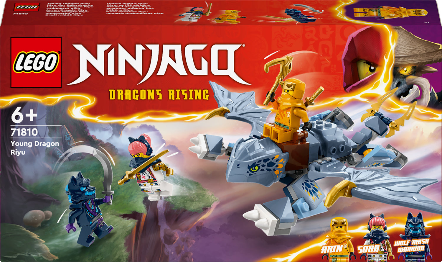 LEGO NINJAGO Young Dragon Riyu Toy Set – Franklin's Toys