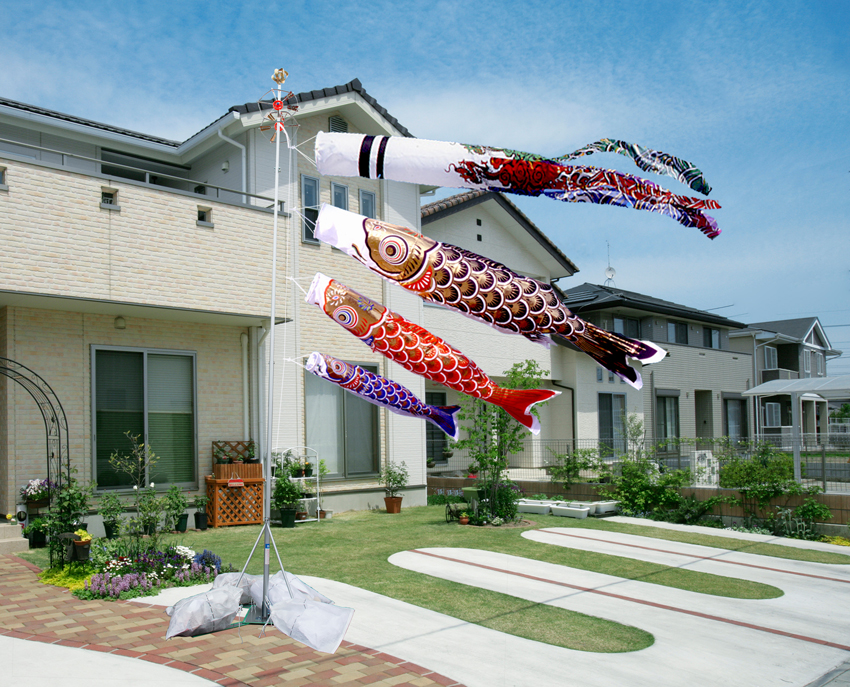 黄金金箔3m鯉のぼりポールスタンド付セット｜人形の伏見屋