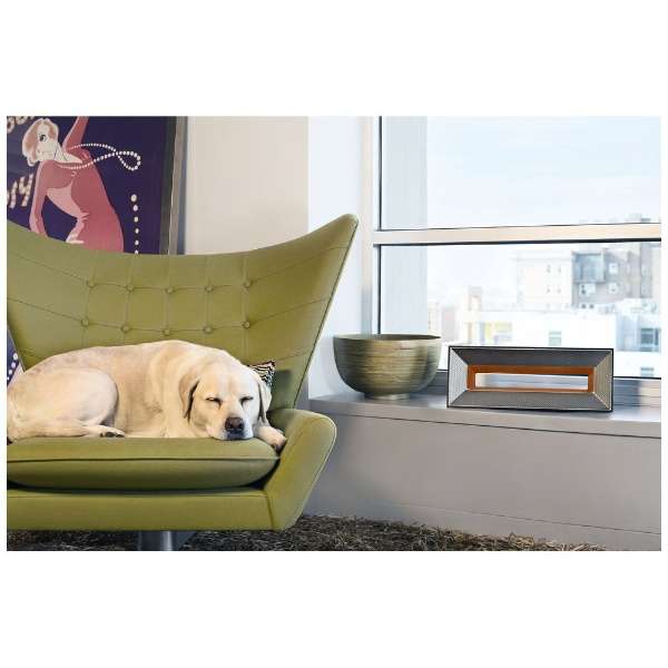 Airocide』空気清浄機 株式会社グローバルゲイツ～Global Gates Co.,Ltd.～