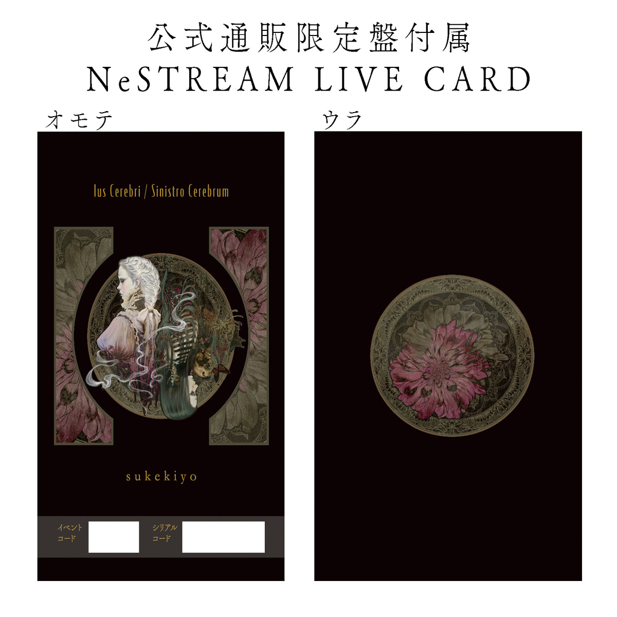 Complete Audio & Video Collection『Ius Cerebri / Sinistro Cerebrum