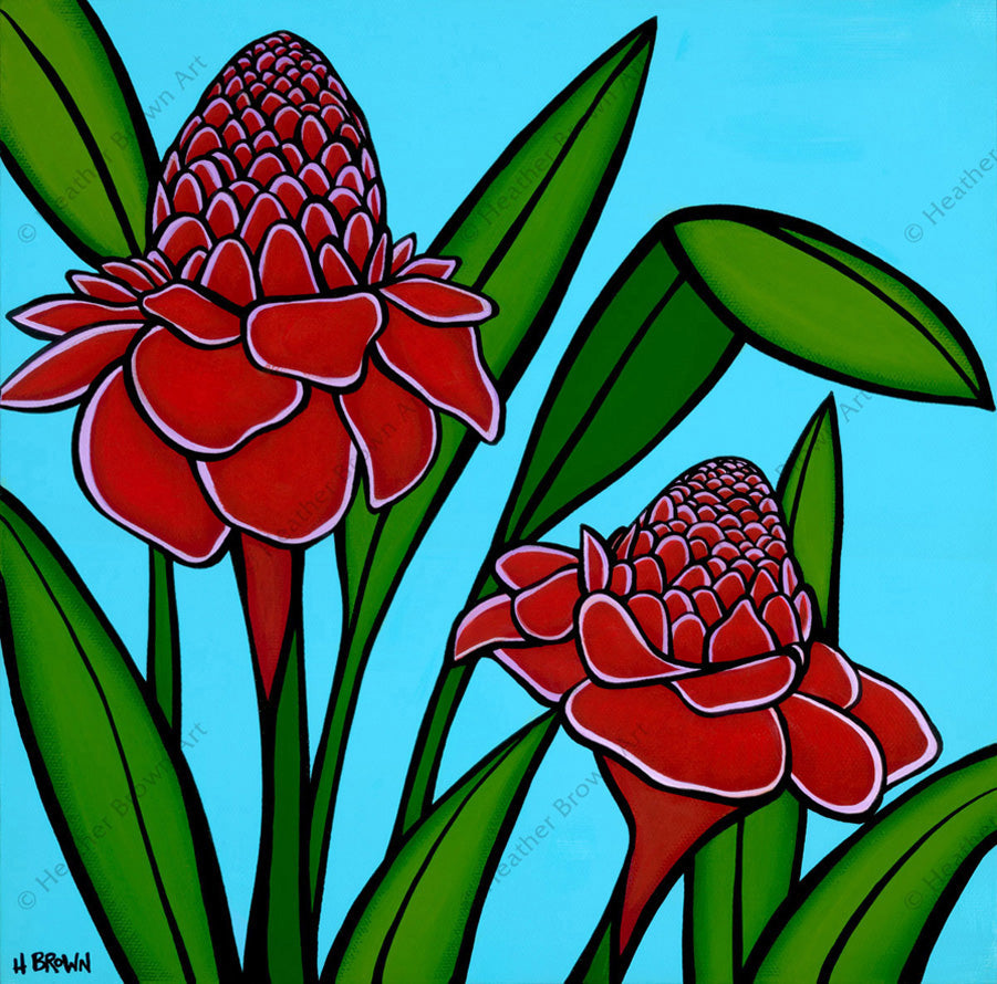 Torch Ginger - Heather Brown - Canvas Giclée - Open Edition Print