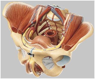 ソムソ模型のネツト販売