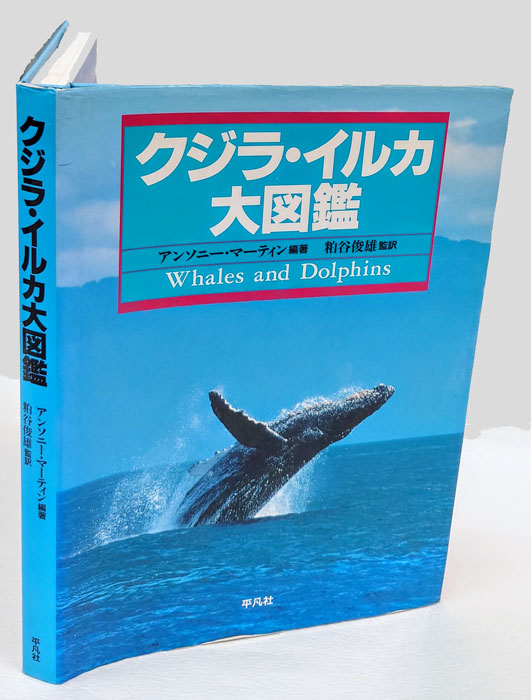 クジラ・イルカ大図鑑(アンソニー・マーティン 編著 粕谷俊雄 監訳