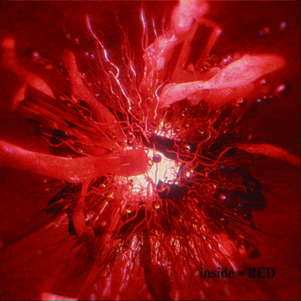 DISCOGRAPHY | Ivy to Fraudulent Game