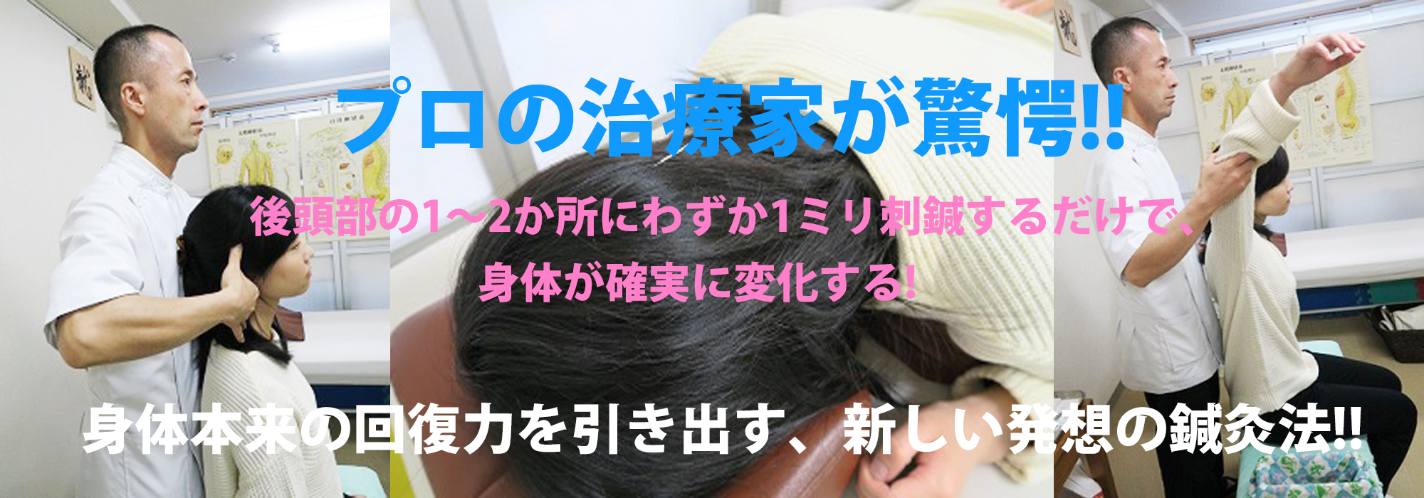 生体律動調整法の診断 - 青葉 新鍼灸 律動法 はり・きゅう 體信堂 菊間