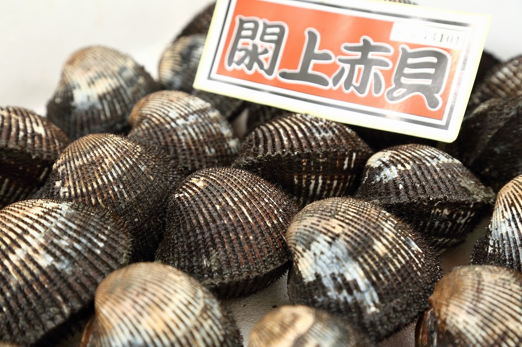 閖上産 赤貝の塩漬の通販MARUTA 閖上産赤貝の塩漬を始めとした珍味