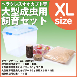 ヘラクレスオオカブト等 大型成虫用飼育セット オオクワガタ幼虫