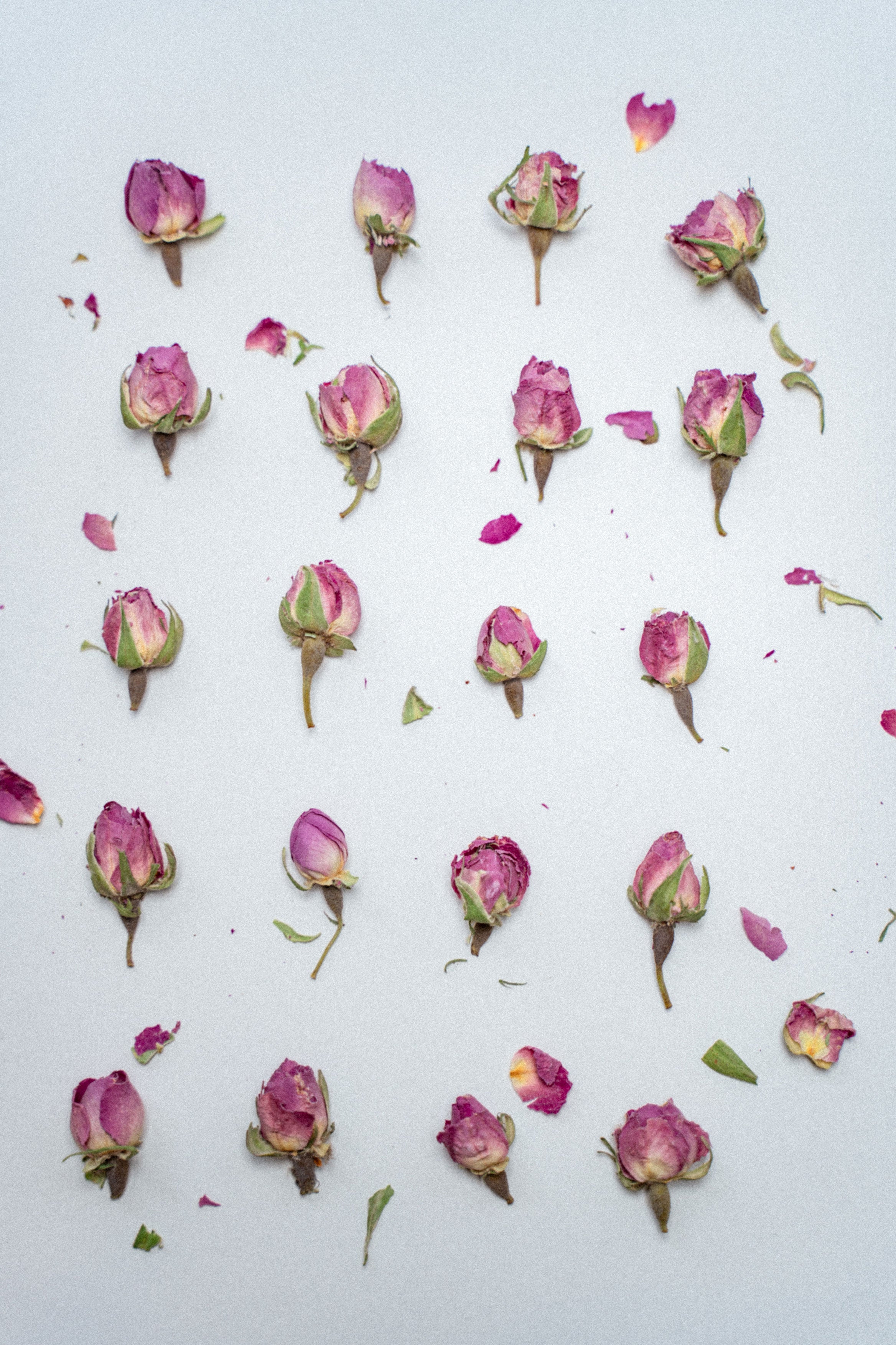 商品一覧 | NeRoLi herb