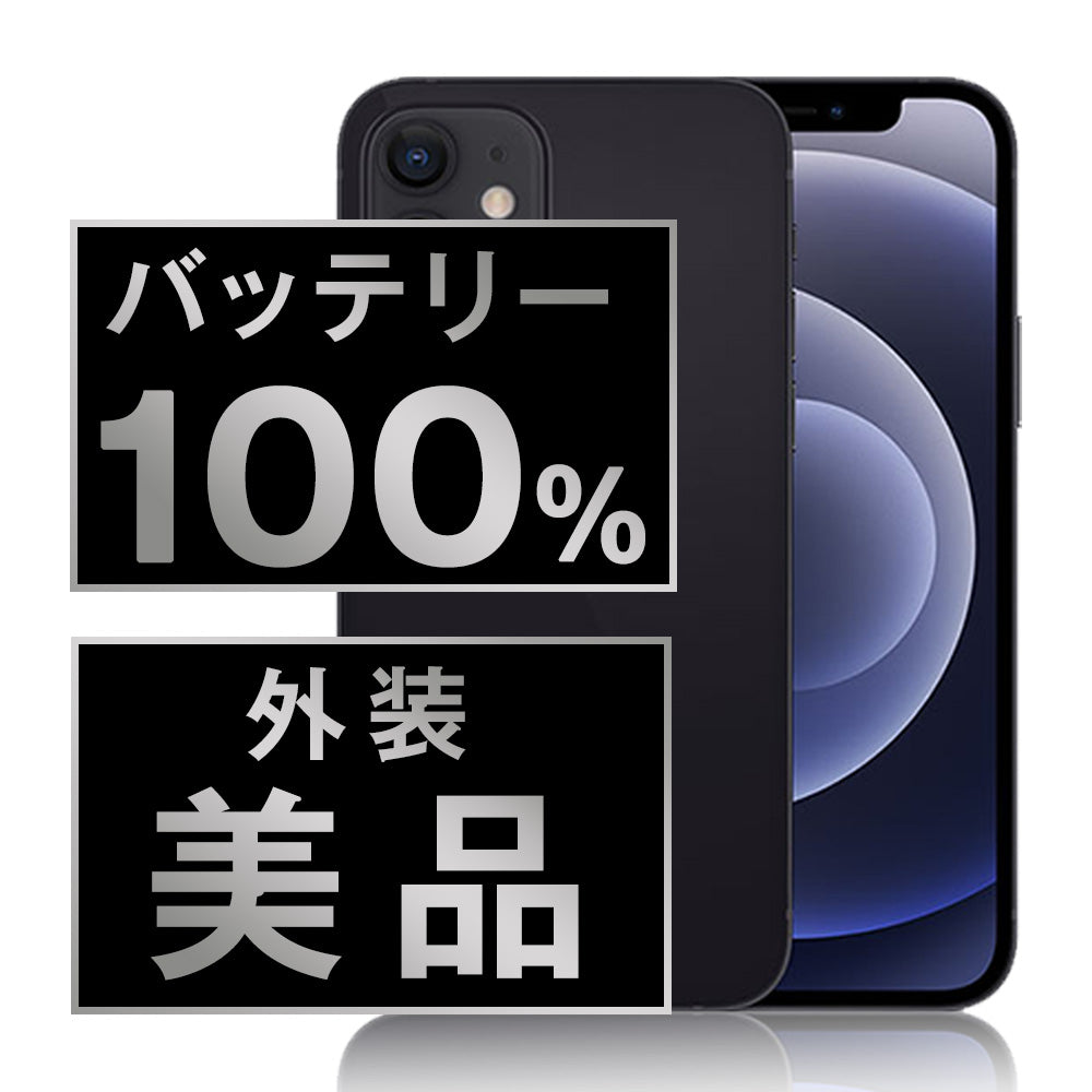 バッテリー100% iPhone12 mini 64GB ブラック Aランク 美品 SIMフリー