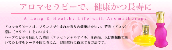 ランプベルジェオイル アロマオイル【シルクタッチ】1000ml【A1309