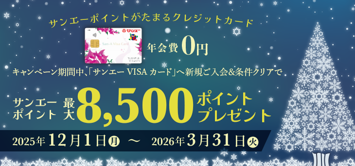 サンエーVISAカード新規ご入会＆条件クリアで最大8,500ポイント