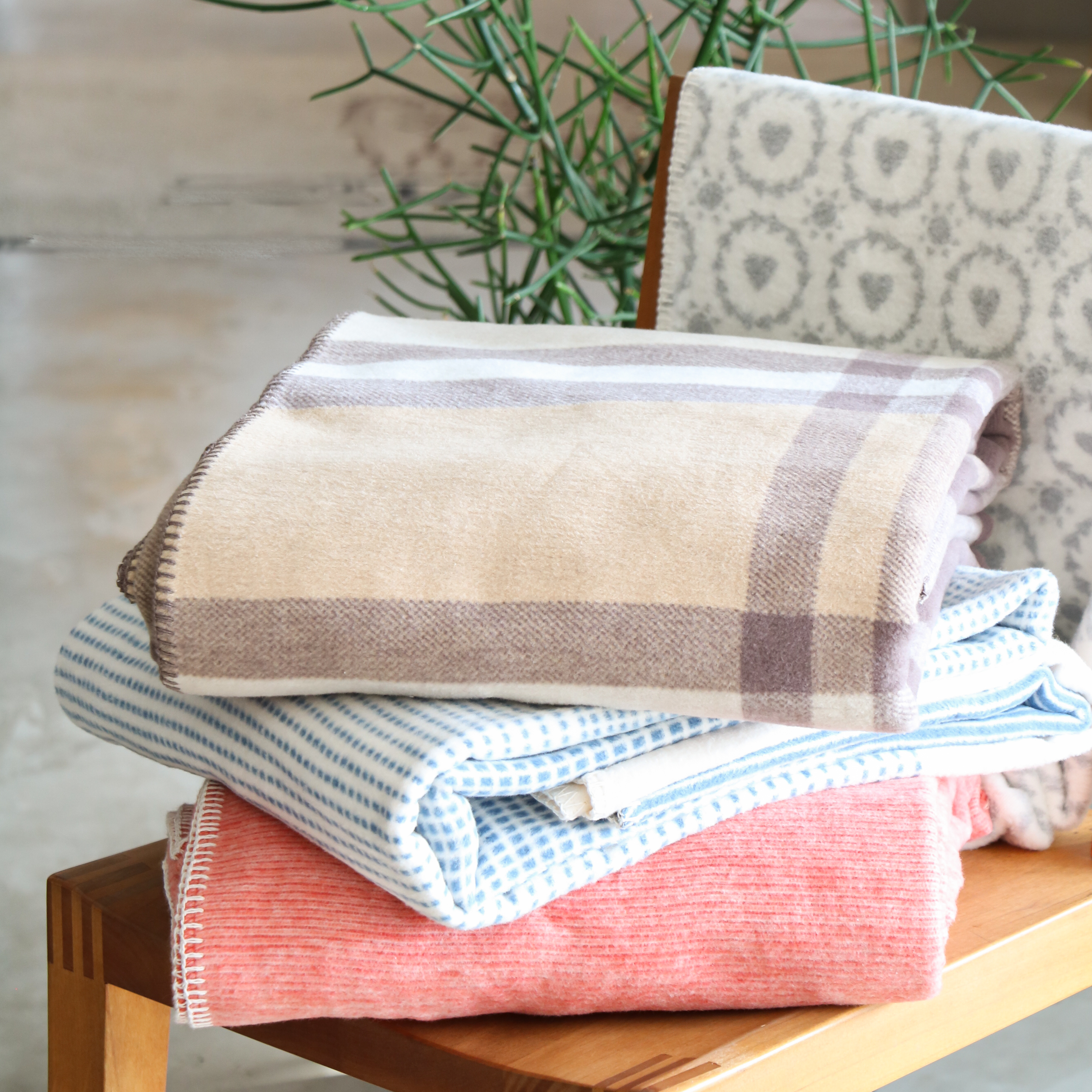 オーガニックコットン100% イベナの毛布 – 小野ふとん店