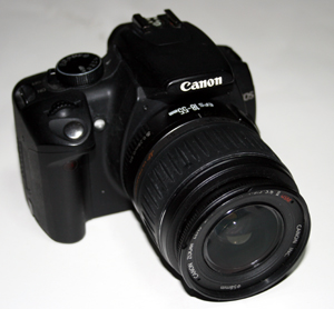 Canon EOS Kiss Digital N レポート